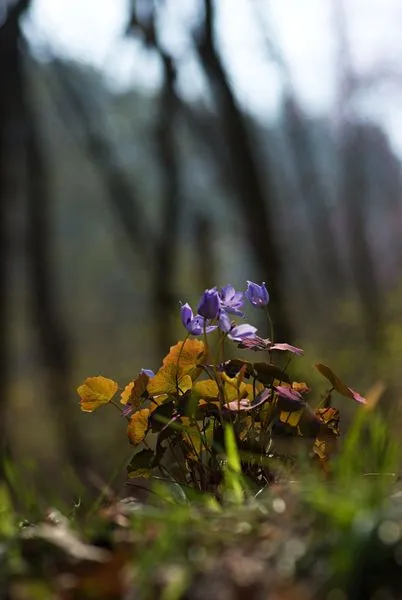 448891559_8128327840544622_435627518877921809_n.jpg?stp=dst-jpg_s600x600&_nc_cat=107&ccb=1-7&_nc_sid=127cfc&_nc_ohc=Iv29I7CWyQcQ7kNvgFqluJS&_nc_ht=scontent-ssn1-1.xx&oh=00_AYCZsMqTopARSMGfNYZjUb7eQoIcK7xA11bkV4asH1TZ7Q&oe=6693ACD3