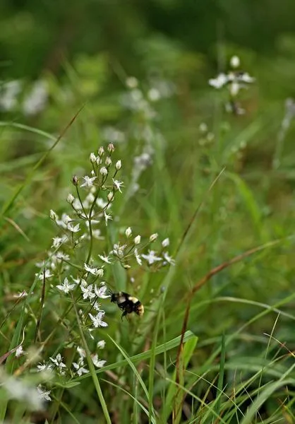 454234171_8367891206588283_1012463616892551998_n.jpg?stp=dst-jpg_s600x600&_nc_cat=101&ccb=1-7&_nc_sid=127cfc&_nc_ohc=Qw1j6tI4_Z4Q7kNvgH4aMBQ&_nc_ht=scontent-ssn1-1.xx&oh=00_AYBVXyjUOFWPP0Cb2jZaygEBR5xvgK41it1tyrPC1Eawog&oe=66FE93AD