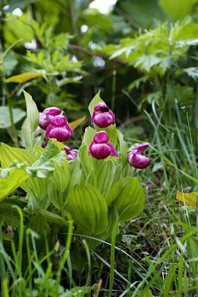 459927433_8642884495755618_4028239455738350632_n.jpg?stp=dst-jpg_s600x600&_nc_cat=107&ccb=1-7&_nc_sid=127cfc&_nc_ohc=LV9nLhjBVFQQ7kNvgE3xwNo&_nc_ht=scontent-ssn1-1.xx&_nc_gid=APRUuaP20YDYJooVmwrmLNJ&oh=00_AYD2s3wpE8nPeT2jyp7QIftSD6ab652jDYdasJDyEczVyw&oe=66FE6403