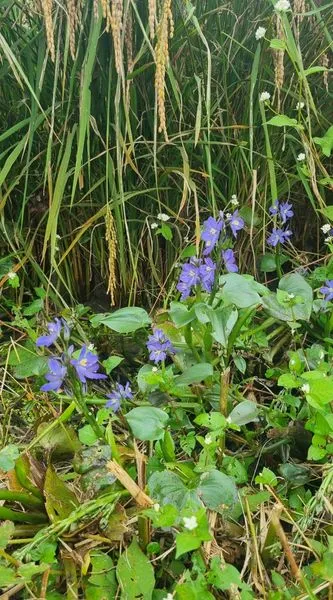 458960001_8573688439341891_8611297552878068416_n.jpg?stp=dst-jpg_s600x600&_nc_cat=101&ccb=1-7&_nc_sid=127cfc&_nc_ohc=TAqv9fxP7acQ7kNvgH77N0G&_nc_ht=scontent-ssn1-1.xx&_nc_gid=AhnPtDSUq4KMRpUNmNhQCyv&oh=00_AYCiF6IXzov-DvKKJvgu0Mka1xhlG7MVxETnnZ1N21iPjQ&oe=66FE7DBB