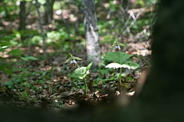 460205498_8642884325755635_4637900123355593570_n.jpg?stp=dst-jpg_p526x395&_nc_cat=101&ccb=1-7&_nc_sid=127cfc&_nc_ohc=4P0aism-xI8Q7kNvgEfC7Ng&_nc_ht=scontent-ssn1-1.xx&_nc_gid=APRUuaP20YDYJooVmwrmLNJ&oh=00_AYBWWvkFYjMl79r979d2b2n6lRbR5RBLZEvPEXTZ_LvN-A&oe=66FE782C