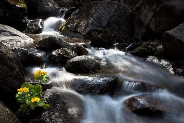 449078664_8138384186205654_7019117470026523059_n.jpg?stp=dst-jpg_p526x395&_nc_cat=110&ccb=1-7&_nc_sid=127cfc&_nc_ohc=biY1VFaLd2EQ7kNvgF65an6&_nc_ht=scontent-ssn1-1.xx&oh=00_AYBcbTH4Ra3hmcjx2PkfvUSx-FJVeyoL61JsA-TOFXbb6Q&oe=66A4B9E7