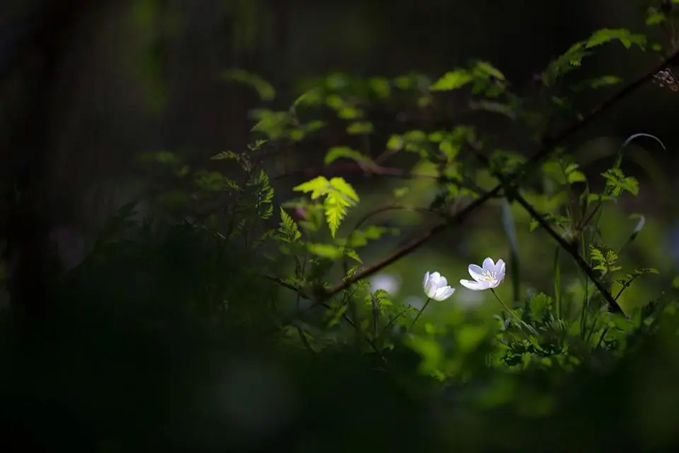 437983294_7827301843980558_8819427812290468503_n.jpg?_nc_cat=103&ccb=1-7&_nc_sid=5f2048&_nc_ohc=9hWvc0ZMcLgQ7kNvgGVRfJA&_nc_ht=scontent-ssn1-1.xx&oh=00_AfDMCBI18TI9aOFx7dKoBZT6Aj-YRxcYRmCY5e08OBmhaA&oe=66360C3A