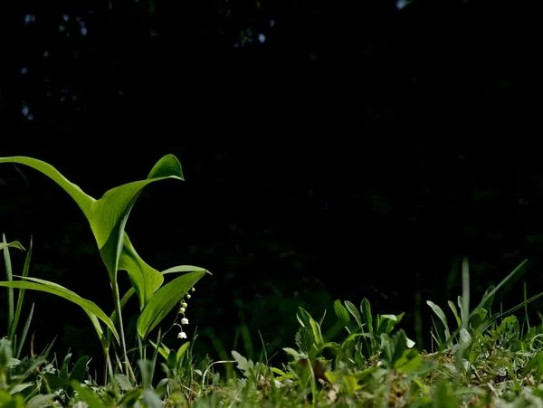 451088625_8246694615374610_769496812541383101_n.jpg?stp=dst-jpg_s600x600&_nc_cat=106&ccb=1-7&_nc_sid=127cfc&_nc_ohc=dhHnMH3WZloQ7kNvgFWH2v4&_nc_ht=scontent-ssn1-1.xx&_nc_gid=ABlGV2g75F9X9la5G5Snzxr&oh=00_AYB1iHrpcsmXsxg4jvhXNs8yZBR0kzMGOVHgcUZ0YXBBhA&oe=66E400D4