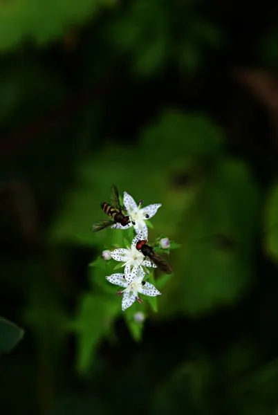 454007842_8367891213254949_8298957974386471917_n.jpg?stp=dst-jpg_s600x600&_nc_cat=105&ccb=1-7&_nc_sid=127cfc&_nc_ohc=XB2AFxAH6fIQ7kNvgHJJ46y&_nc_ht=scontent-ssn1-1.xx&oh=00_AYDjT98njkSIbXQu3apfm6WRw4Z3GwhITnzo55CMYwO8Dw&oe=66FE7605