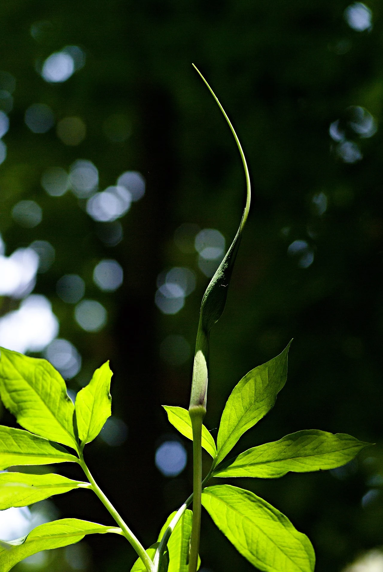 447297175_8028087980568609_7586704764418077043_n.jpg?_nc_cat=102&ccb=1-7&_nc_sid=5f2048&_nc_ohc=8cCu4buAA-YQ7kNvgFW2z-n&_nc_ht=scontent-ssn1-1.xx&oh=00_AYA5wzyZPNop6kERUYoRQ_bZRaCEP_T5LCoQLvHK8eLvlA&oe=6670129D