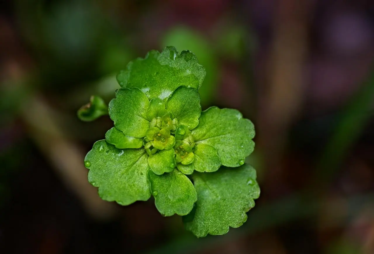 441528150_7943150342395707_1793998651744624695_n.jpg?_nc_cat=107&ccb=1-7&_nc_sid=5f2048&_nc_ohc=7l3wEnixoLgQ7kNvgHjFa3v&_nc_ht=scontent-ssn1-1.xx&oh=00_AYC3AAqf_f1Hl_GgJz4lI9kQurjo95FSWEy1k9OBEqox4Q&oe=665F161C