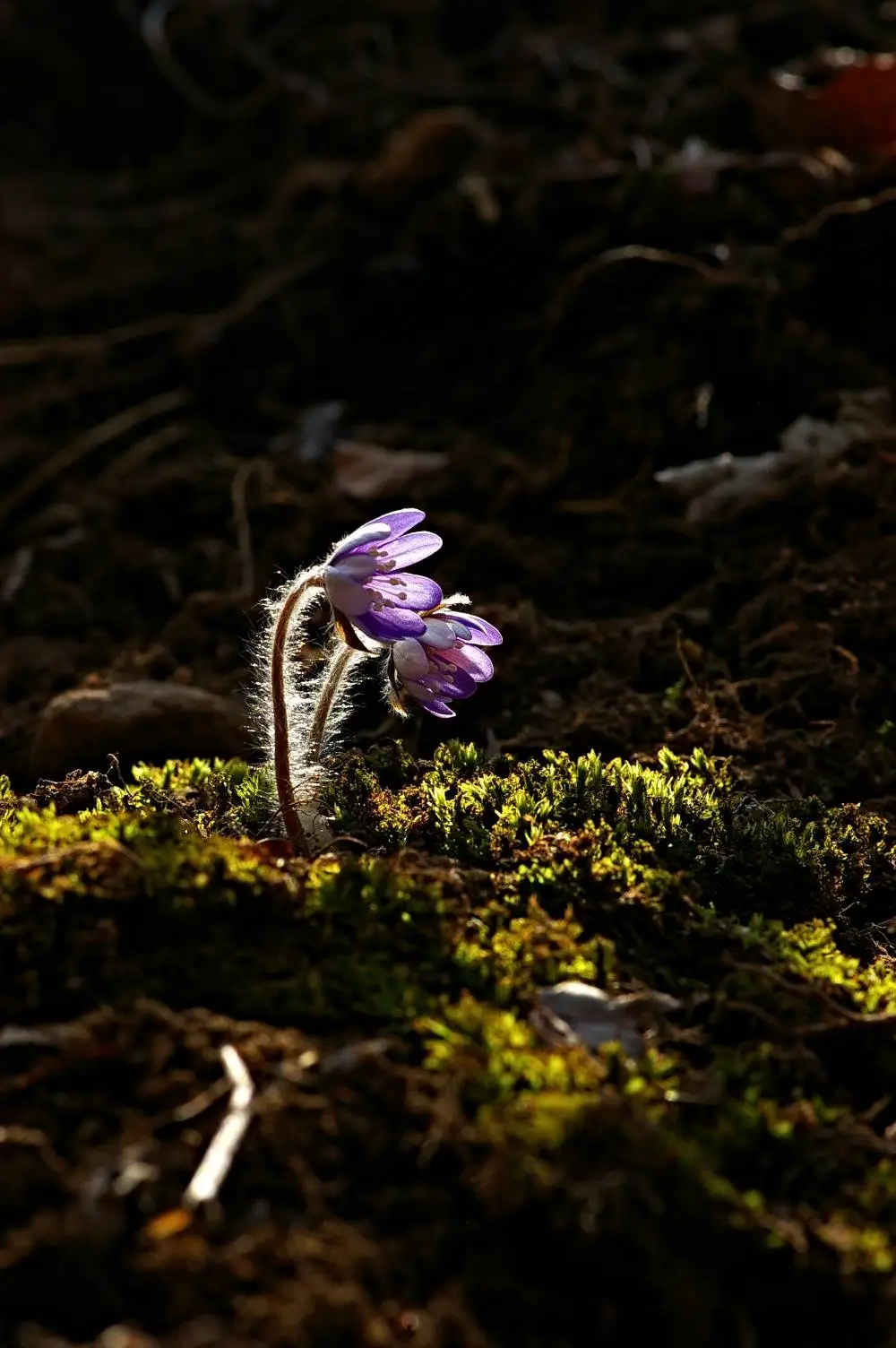 434757340_7779592778751465_5599759558537152302_n.jpg?_nc_cat=110&ccb=1-7&_nc_sid=5f2048&_nc_ohc=LZAYDIO1HSYAb7MJR8D&_nc_oc=AdgCvvXoINRHaOnULA_AVtLbqhzGvYtDiILilNbGPm9wDCoZb2vs_9DLpwbaUZNdIsA&_nc_ht=scontent-ssn1-1.xx&oh=00_AfDlOACVgJ0AVpfkYPbrpWVrn-idsm2OgKHhNEbc23wiwg&oe=662E4734