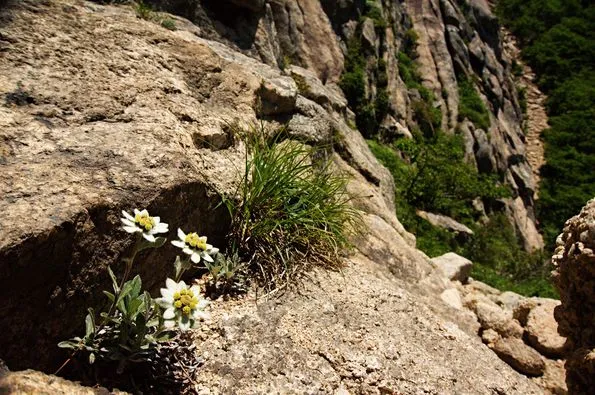 453257354_8325906440786760_5017771308466337119_n.jpg?stp=dst-jpg_p526x395&_nc_cat=108&ccb=1-7&_nc_sid=127cfc&_nc_ohc=yS_nrODrp9wQ7kNvgGA9K6z&_nc_ht=scontent-ssn1-1.xx&_nc_gid=AGXJfqGR84aGmGz2lUmNpjT&oh=00_AYAPsavhZHwxIhhN3o4BwWyXcjwm0W0Ya0-_jgELNCOpyg&oe=66FE8C01