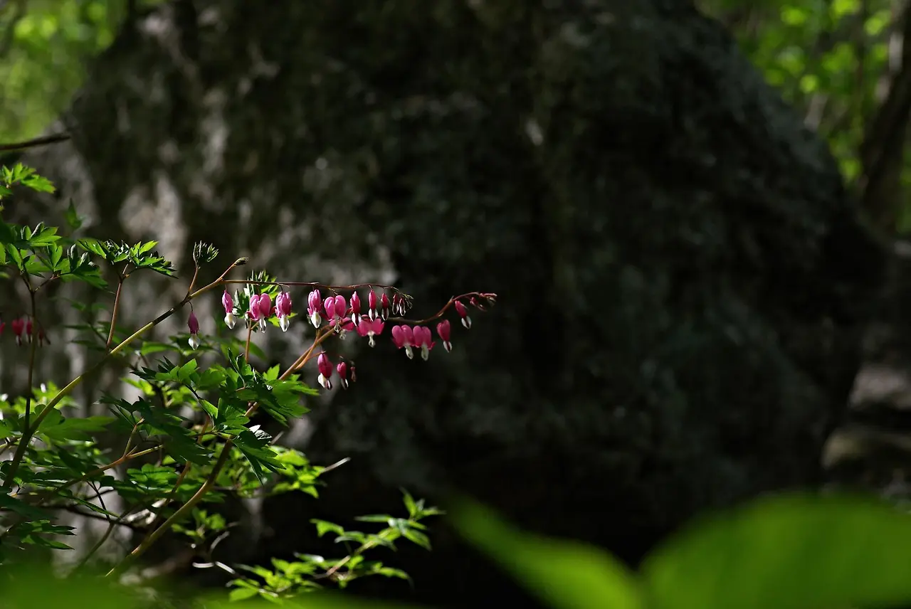 448016811_8058422277535179_6778403254769647551_n.jpg?_nc_cat=101&ccb=1-7&_nc_sid=5f2048&_nc_ohc=-sy8HWef_n8Q7kNvgGciy9t&_nc_ht=scontent-ssn1-1.xx&oh=00_AYDqxEamsAzmjD-RHnJSVugtwMYlaJ0Udp300O0IyGWGww&oe=667E7614