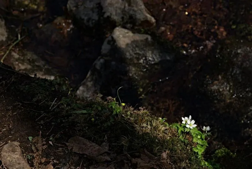 440968054_7885545191489556_5974875421226533591_n.jpg?_nc_cat=103&ccb=1-7&_nc_sid=5f2048&_nc_ohc=7NtO5HdJh5sQ7kNvgHA5Gig&_nc_ht=scontent-ssn1-1.xx&oh=00_AYBQw3XL0okk2jqOzbREE7jQ-9aKZKFi0M6-BK-xPhb2rA&oe=66486601