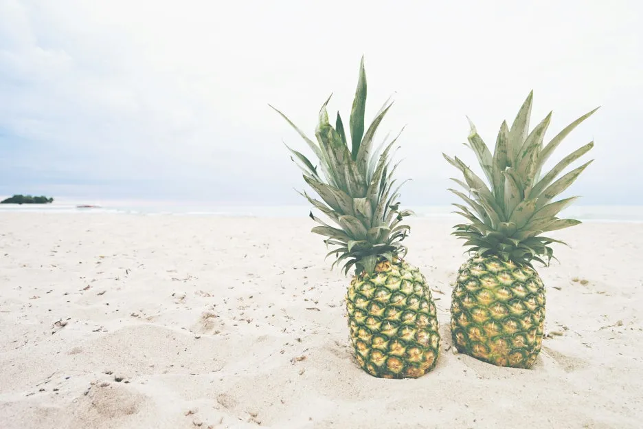 pineapple-supply-co-RLak_xZb5sU-unsplash.jpg?type=w1