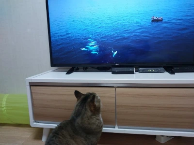 KakaoTalk_20240113_201327657_02.jpg?type=w1