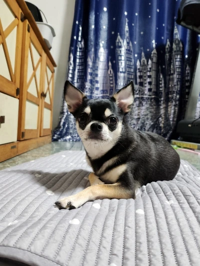 KakaoTalk_20240505_142357473.jpg?type=w1