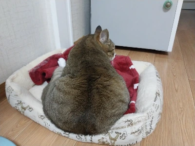 KakaoTalk_20240113_201327657_10.jpg?type=w1