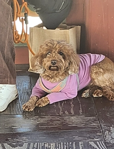 SE-10025402-1116-41fa-aa8f-adfae4b3f3ca.png?type=w1