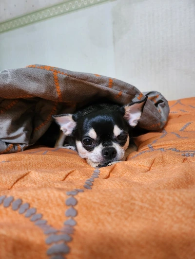 KakaoTalk_20240505_142357473_01.jpg?type=w1