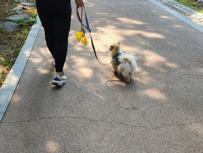 KakaoTalk_20240624_144908834.jpg?type=w1