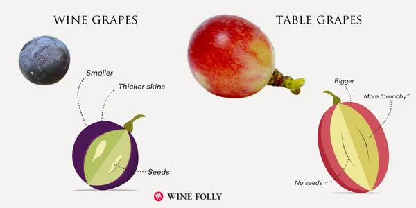 Blog_header_image_7_600x600.png?v=1710312132