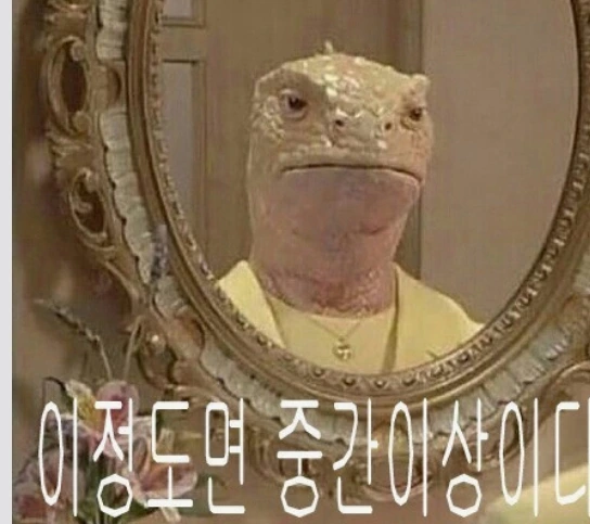 도마뱀.jpeg