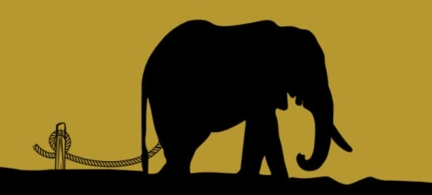 고정관념 코끼리.jpeg