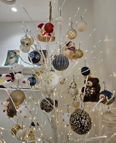 SE-0c2331ea-d90d-11ef-9f40-85a5a1c39284.jpg?type=w386