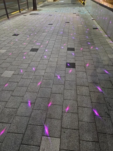 900%EF%BC%BF20241229%EF%BC%BF200347.jpg?type=w386