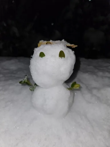 900%EF%BC%BF20241127%EF%BC%BF190626.jpg?type=w386