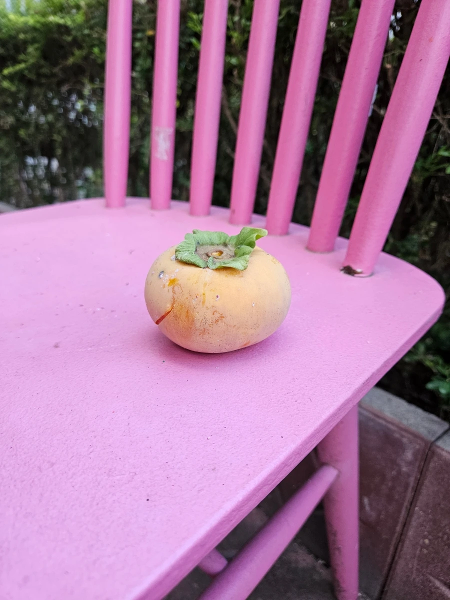 20240928%EF%BC%BF170744.jpg?type=w1