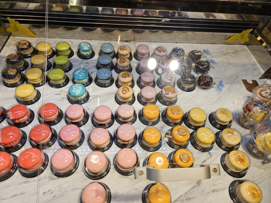 20240918%EF%BC%BF174857.jpg?type=w1