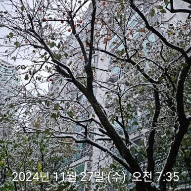 900%EF%BC%BF2024%EF%BC%8D11%EF%BC%8D27T07%EF%BC%BF35%EF%BC%BF00.722.jpg?type=w386