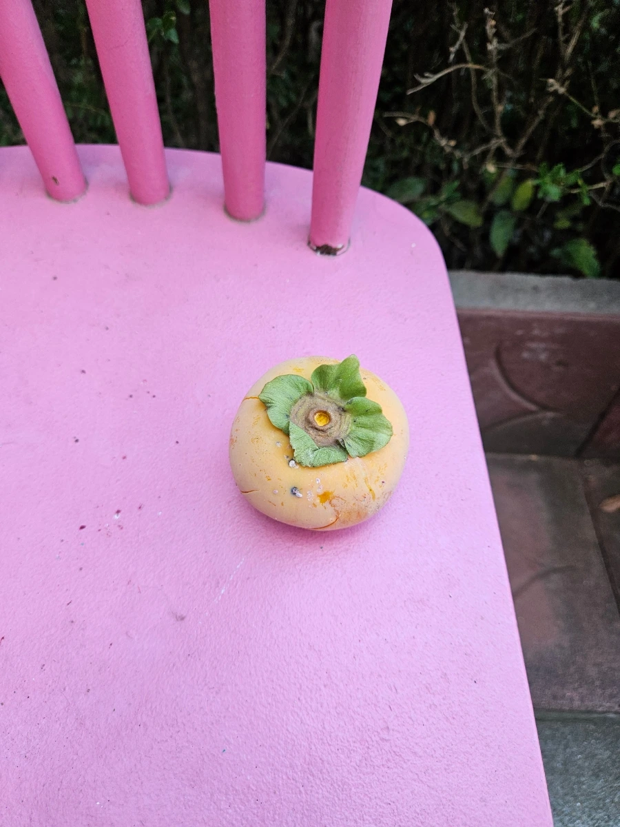 20240928%EF%BC%BF170734.jpg?type=w1