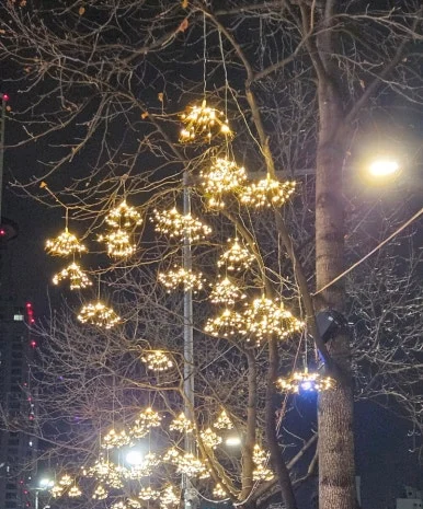 SE-116359db-d39b-11ef-99ef-77b14eb56349.jpg?type=w386