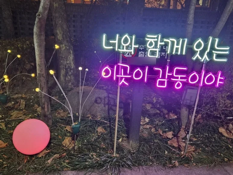 SE-116889ff-d39b-11ef-99ef-3d23438a124b.jpg?type=w773