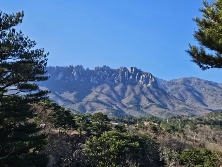 900%EF%BC%BF20241229%EF%BC%BF104238.jpg?type=w773