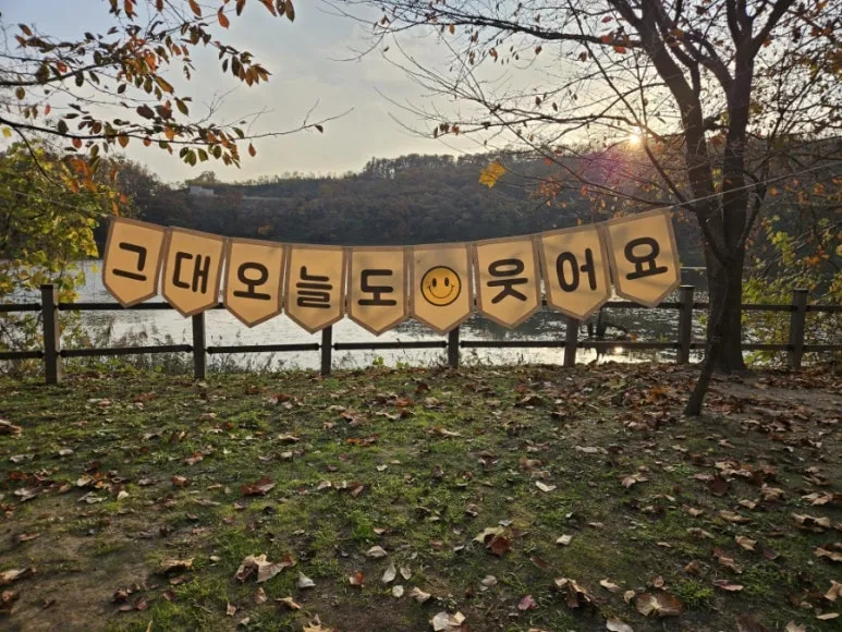 900%EF%BC%BF20241113%EF%BC%BF162258.jpg?type=w773