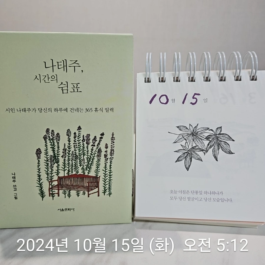 900%EF%BC%BF2024%EF%BC%8D10%EF%BC%8D15T05%EF%BC%BF12%EF%BC%BF11.270.jpg?type=w1