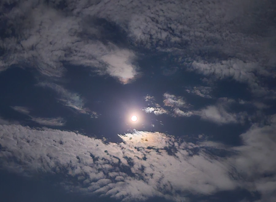 SE-0c3b7e05-750b-11ef-a5e6-6f209c3c3cda.jpg?type=w1