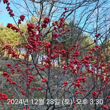 900%EF%BC%BF2024%EF%BC%8D12%EF%BC%8D28T15%EF%BC%BF30%EF%BC%BF22.204.jpg?type=w386