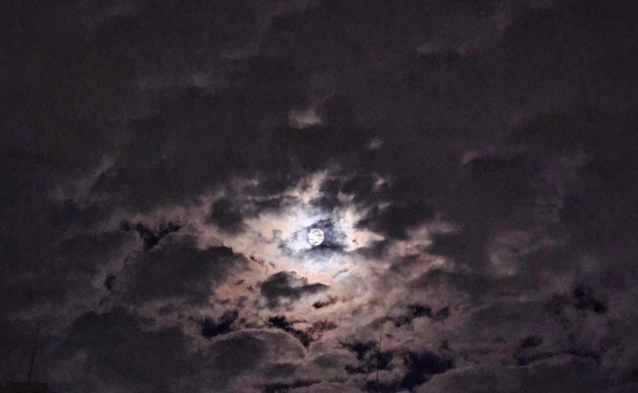 SE-0c3674f2-750b-11ef-a5e6-275cb68d89e9.jpg?type=w1