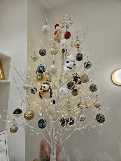 900%EF%BC%BF20250121%EF%BC%BF155007.jpg?type=w386