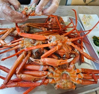 SE-ef9c3600-d2cf-11ef-a139-05f84ecc2f33.jpg?type=w386