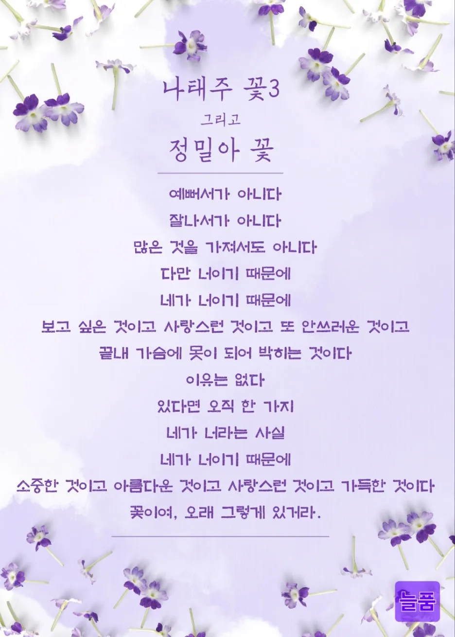 %EB%82%98%ED%83%9C%EC%A3%BC_%EA%BD%83_3,_%EC%A0%95%EB%B0%80%EC%95%84_%EA%BD%83_%EB%8A%98%ED%92%88_%EB%82%99%EA%B4%80.jpg?type=w1