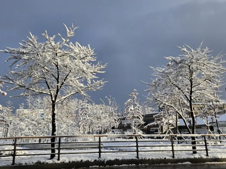 900%EF%BC%BF20241127%EF%BC%BF155224.jpg?type=w773