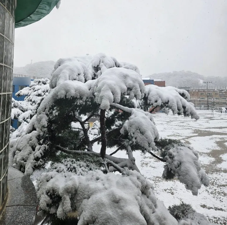 SE-5feb6880-ad1b-11ef-b3a9-13b937747e94.jpg?type=w773