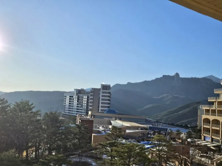 900%EF%BC%BF20241229%EF%BC%BF085913.jpg?type=w773