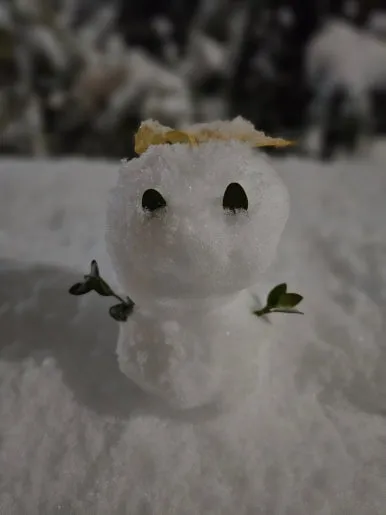 900%EF%BC%BF20241127%EF%BC%BF190656.jpg?type=w386