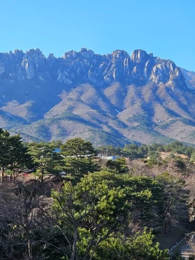 900%EF%BC%BF20241229%EF%BC%BF104215.jpg?type=w386