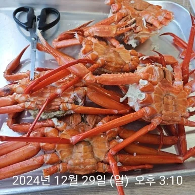 900%EF%BC%BF2024%EF%BC%8D12%EF%BC%8D29T15%EF%BC%BF10%EF%BC%BF24.337.jpg?type=w386