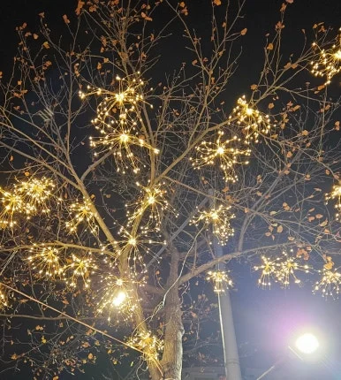 SE-1164925c-d39b-11ef-99ef-31a7e17fdedc.jpg?type=w386